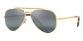 Ray-Ban New Aviator RB 3625 9196/G6 Polarised