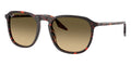 Ray-Ban RB 2203 1429/0A